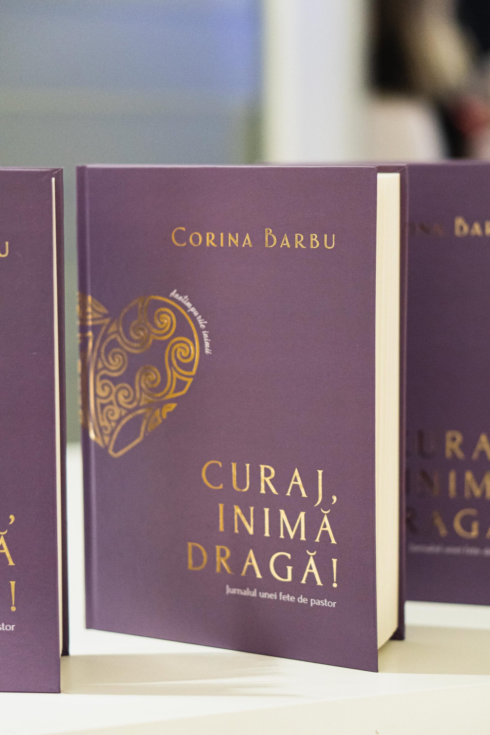 Coperta cărții Curaj, inimă dragă